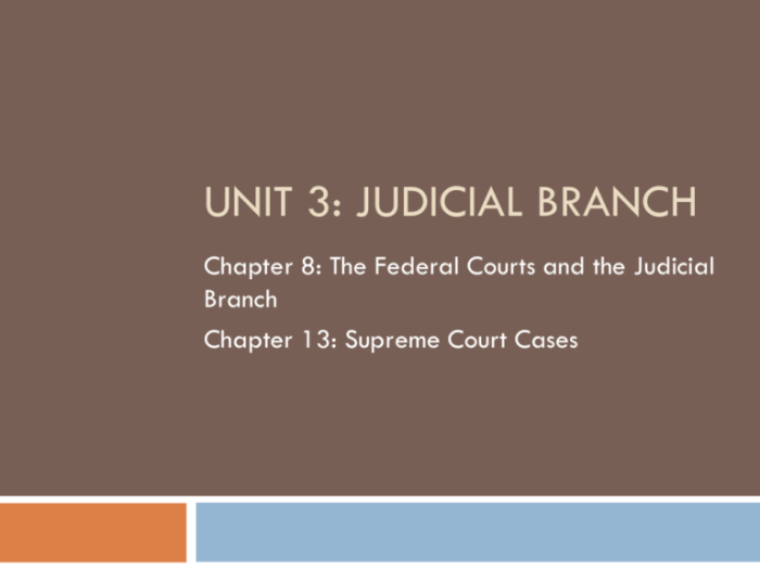 Topic 2.8 the judicial branch