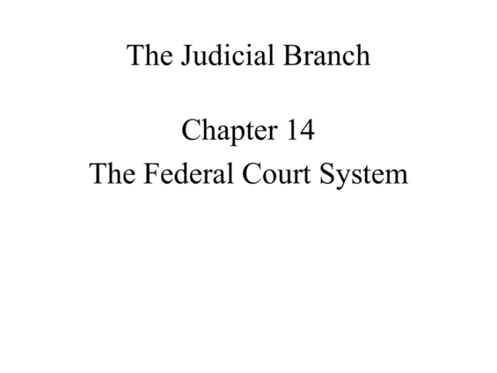 Topic 2.8 the judicial branch