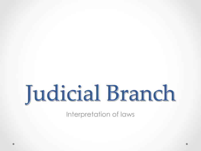 Branch judicial law states criminal government branches system diagram legal court united three state federal legislative laws examples checks powers