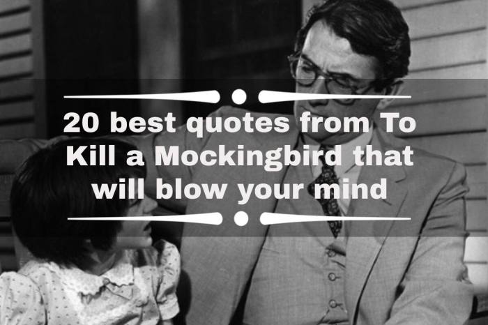 Quotes from scout to kill a mockingbird