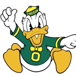 Oregon ducks football helmet for sale