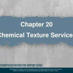 Chapter 20 chemical texture services