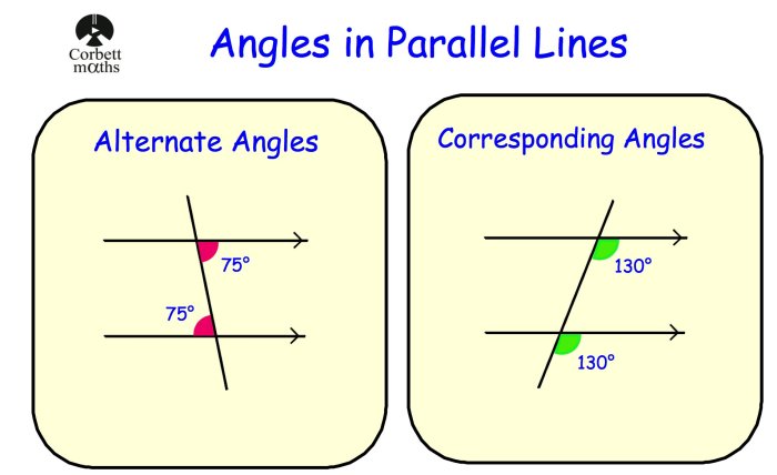 Lesson 2.6 special angles on parallel lines