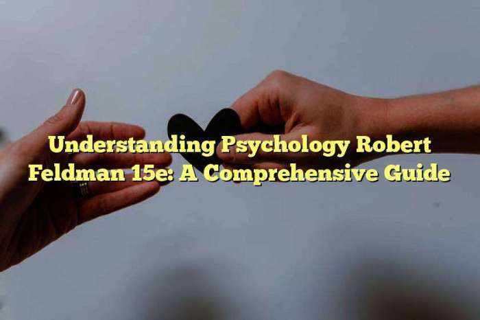 Psychology understanding feldman