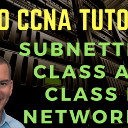 Only class b and class c networks can be subnetted