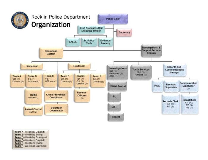 Who is at the top of the neca organizational chart
